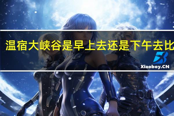 温宿大峡谷是早上去还是下午去比较好