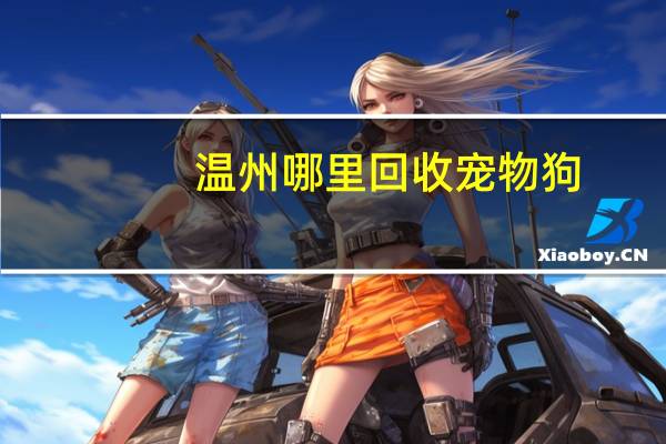 温州哪里回收宠物狗