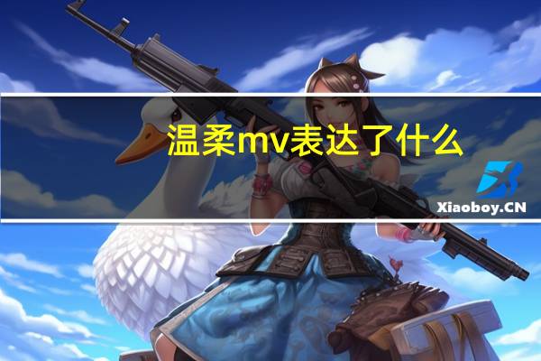 温柔mv表达了什么