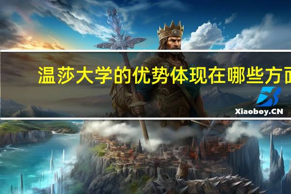 温莎大学的优势体现在哪些方面