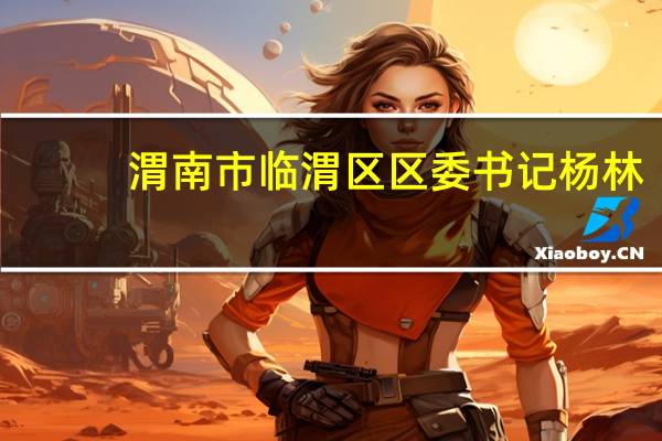 渭南市临渭区区委书记杨林（杨美玲-渭南市临渭区人民政府原副区长简介）