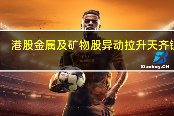 港股金属及矿物股异动拉升天齐锂业(09696.HK)、赣锋锂业(01772.HK)均涨近6%中国稀土(00769.HK)、洛阳钼业(03993.HK)等涨超1.5%