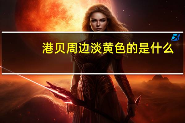 港贝周边淡黄色的是什么