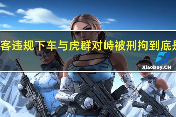 游客违规下车与虎群对峙被刑拘 到底是怎样的