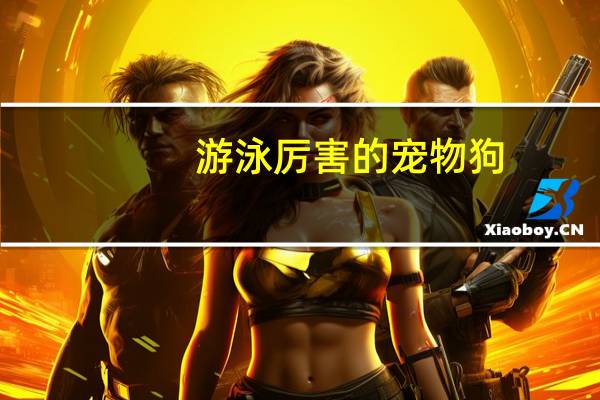 游泳厉害的宠物狗