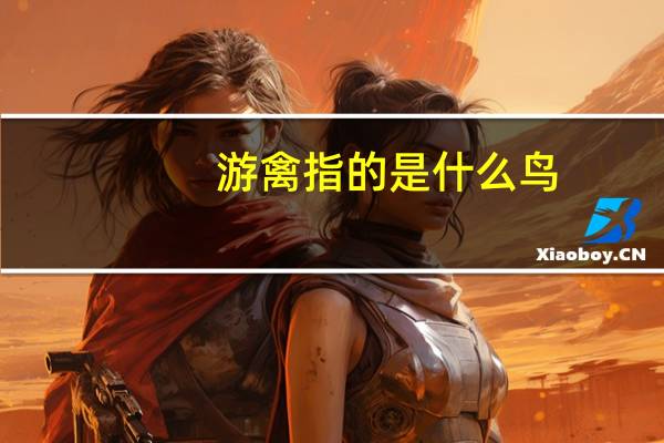 游禽指的是什么鸟（幽禽指的是什么鸟）