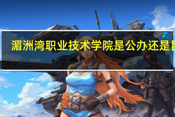 湄洲湾职业技术学院是公办还是民办