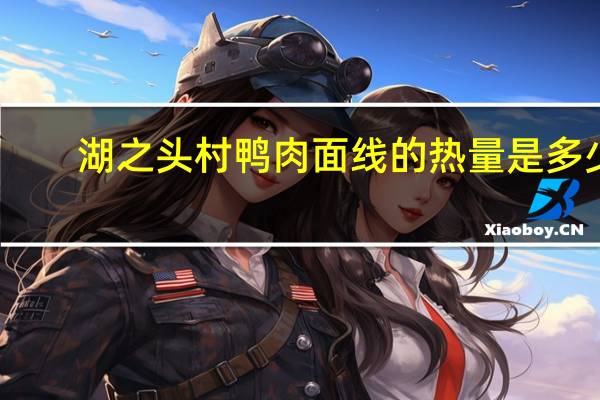 湖之头村 鸭肉面线的热量是多少