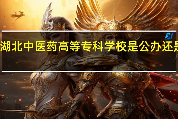 湖北中医药高等专科学校是公办还是民办