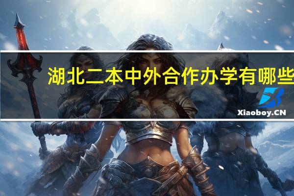 湖北二本中外合作办学有哪些