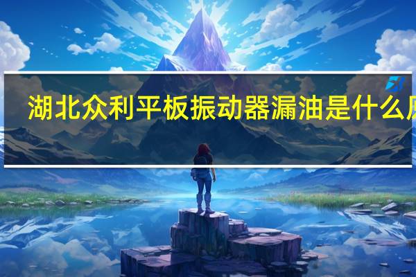 湖北众利平板振动器漏油是什么原因