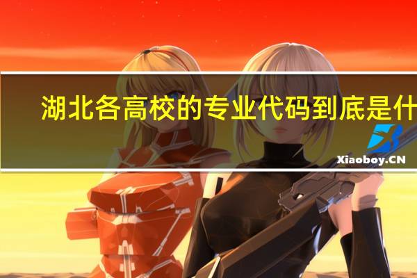 湖北各高校的专业代码到底是什么