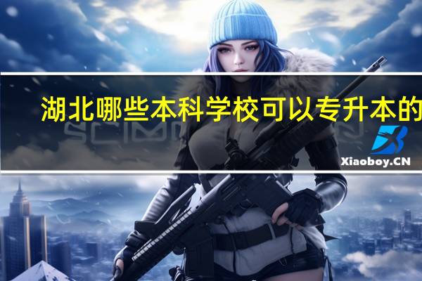 湖北哪些本科学校可以专升本的啊