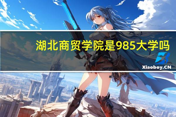 湖北商贸学院是985大学吗