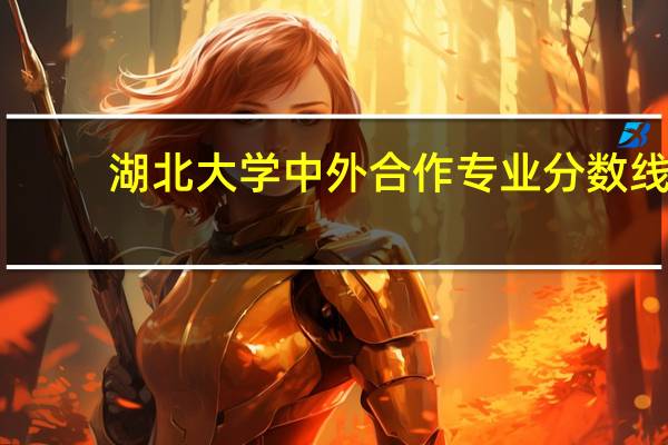 湖北大学中外合作专业分数线