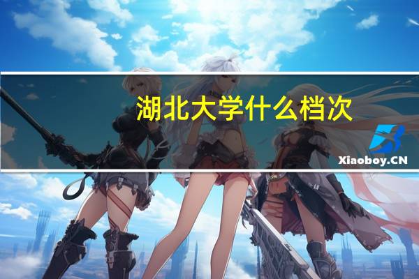 湖北大学什么档次