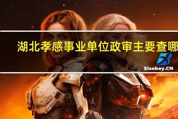 湖北孝感事业单位政审主要查哪些