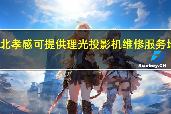 湖北孝感可提供理光投影机维修服务地址在哪