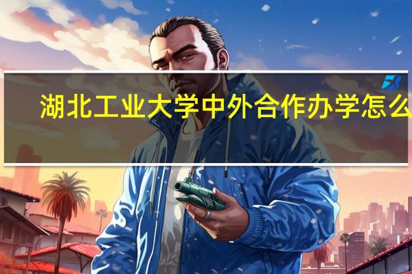 湖北工业大学中外合作办学怎么样