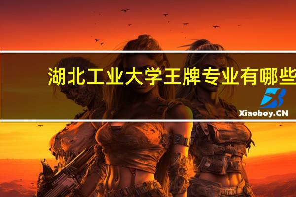 湖北工业大学王牌专业有哪些