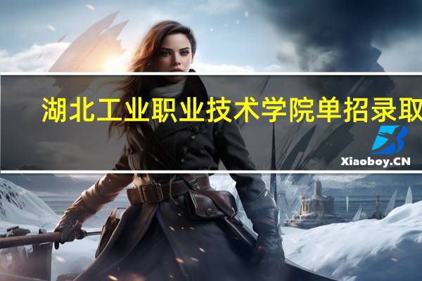 湖北工业职业技术学院单招录取线