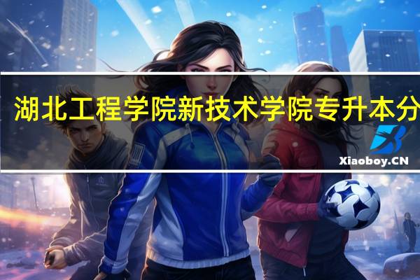 湖北工程学院新技术学院专升本分数线