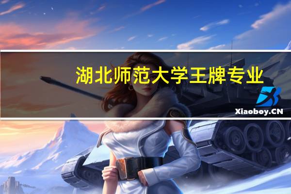 湖北师范大学王牌专业