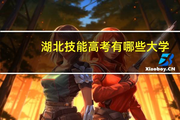 湖北技能高考有哪些大学