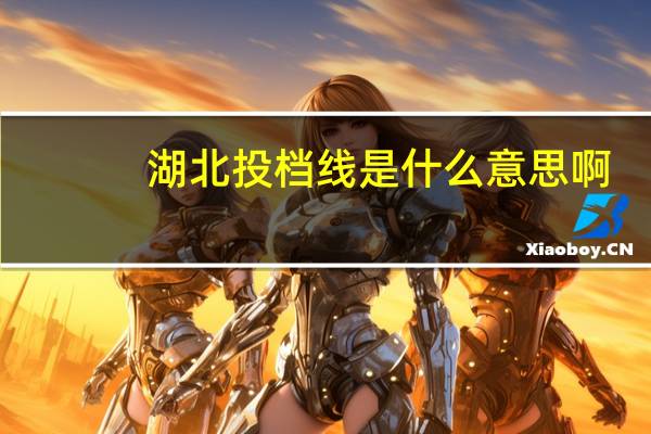 湖北投档线是什么意思啊