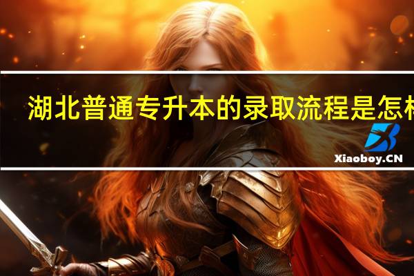 湖北普通专升本的录取流程是怎样的