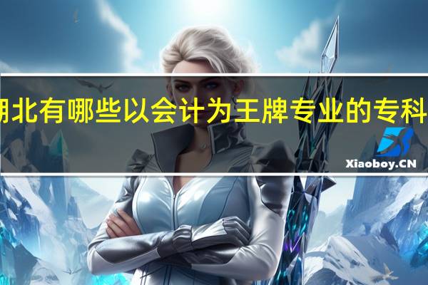 湖北有哪些以会计为王牌专业的专科大学10