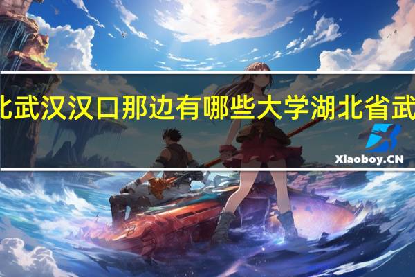 湖北武汉汉口那边有哪些大学 湖北省武汉市地图