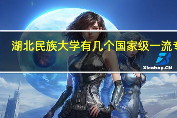 湖北民族大学有几个国家级一流专业