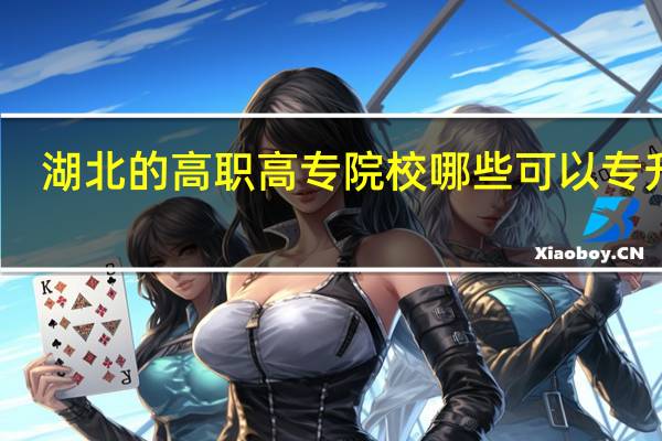 湖北的高职高专院校哪些可以专升本