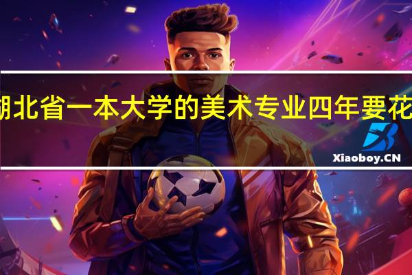 湖北省一本大学的美术专业四年要花多少钱