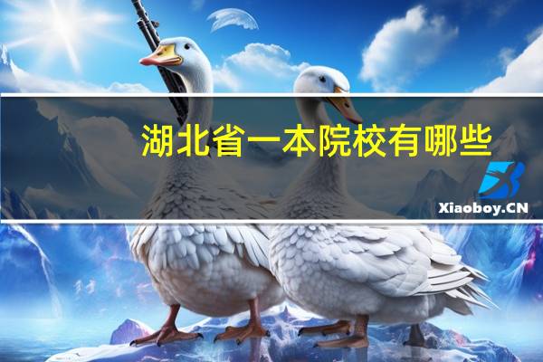 湖北省一本院校有哪些