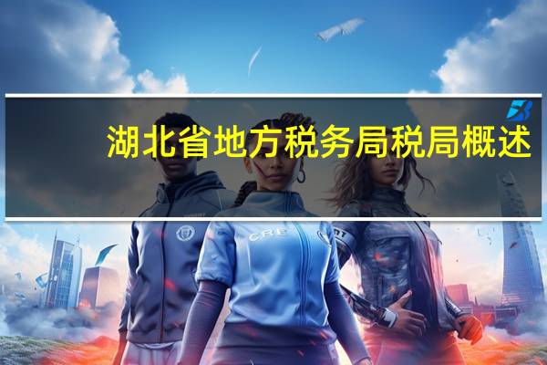 湖北省地方税务局税局概述