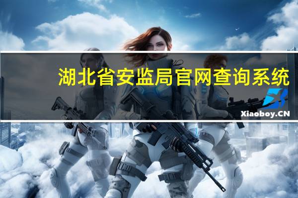 湖北省安监局官网查询系统（湖北省安监局网站）
