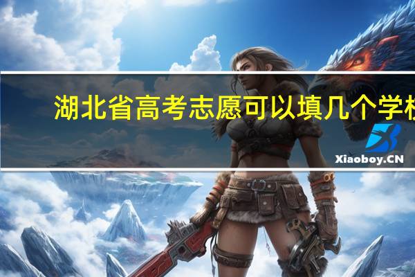 湖北省高考志愿可以填几个学校