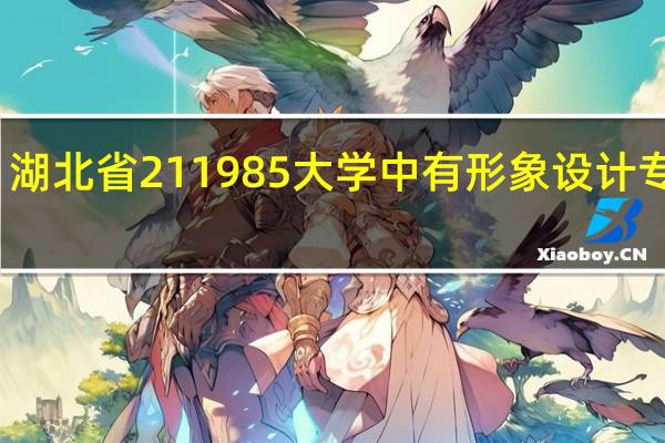 湖北省211985大学中有形象设计专业吗