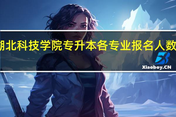 湖北科技学院专升本各专业报名人数有多少