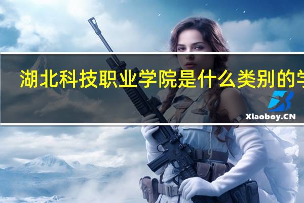湖北科技职业学院是什么类别的学校
