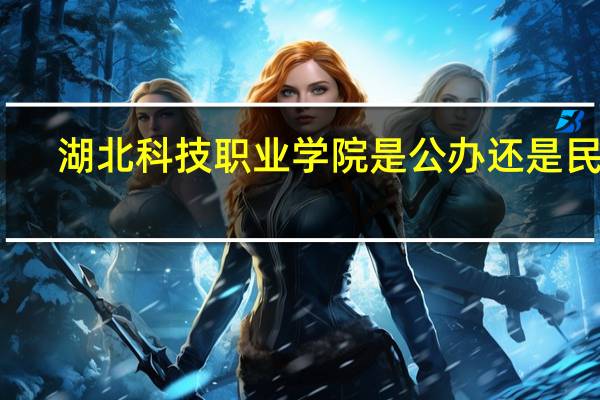 湖北科技职业学院是公办还是民办