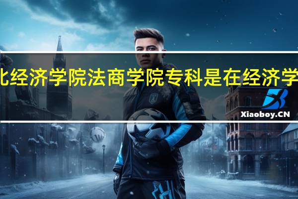 湖北经济学院法商学院专科是在经济学院本部吗