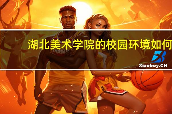 湖北美术学院的校园环境如何