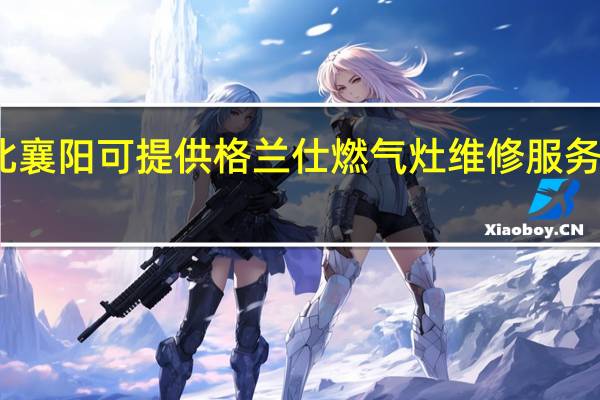 湖北襄阳可提供格兰仕燃气灶维修服务地址在哪