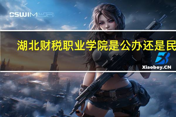 湖北财税职业学院是公办还是民办