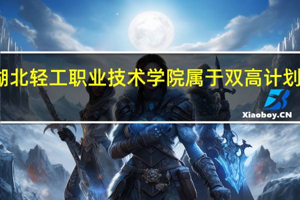 湖北轻工职业技术学院属于双高计划院校吗