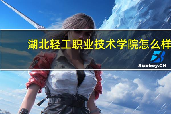 湖北轻工职业技术学院怎么样