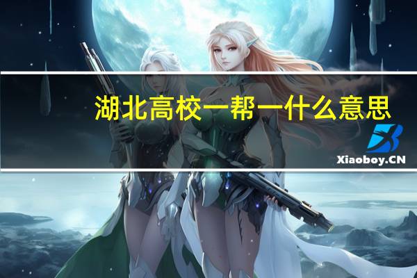 湖北高校一帮一什么意思